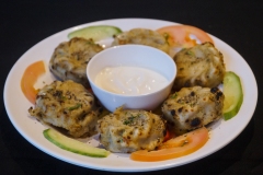 Tandoori-afgani-momos